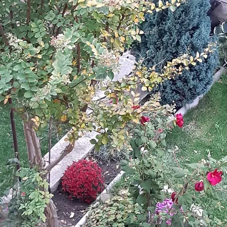 Bed & Breakfast къща за гости 