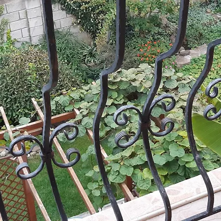 לינה וארוחת בוקר 