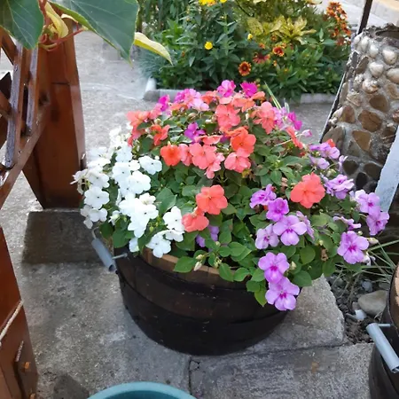 לינה וארוחת בוקר 